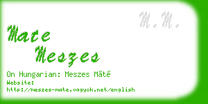 mate meszes business card